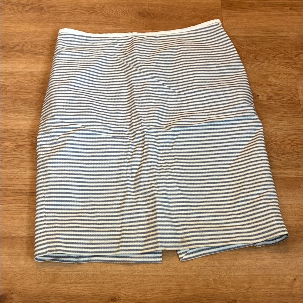 The Limited Striped Skirt‎ in Blue and White